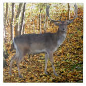 Waldbewohner タイル (正面)