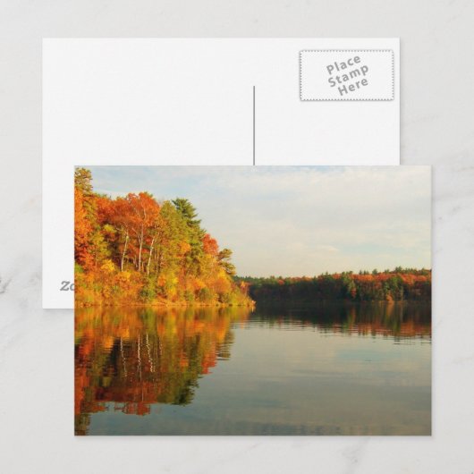 Waldenの秋 ポストカード (正面/裏面)