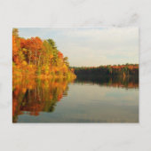 Waldenの秋 ポストカード (正面)