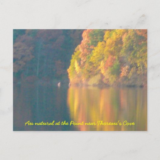 Walden Pondのポストカード ポストカード (正面)