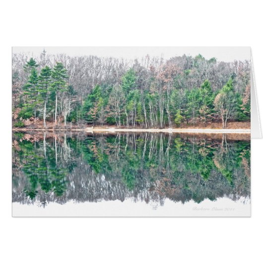 Walden Pond:穏やかな最小の美しいを知覚 (正面横)