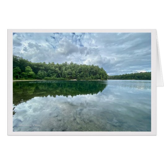 *Walden Pond：青運鳥の背中の空。 (正面横)