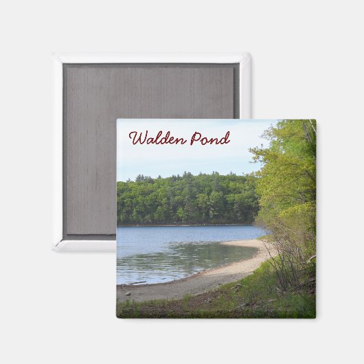Walden Pond, Concord, MA マグネット (正面/裏面)