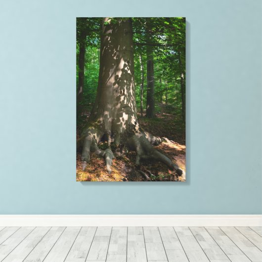 Waldimpression キャンバスプリント (インサイチュ (ウッドフロア))