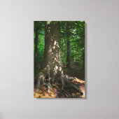 Waldimpression キャンバスプリント (正面)