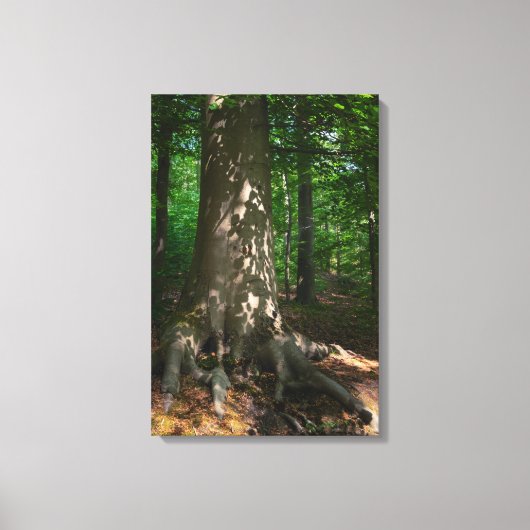 Waldimpression キャンバスプリント (正面)