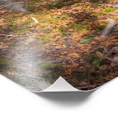 Waldimpression フォトプリント (角)