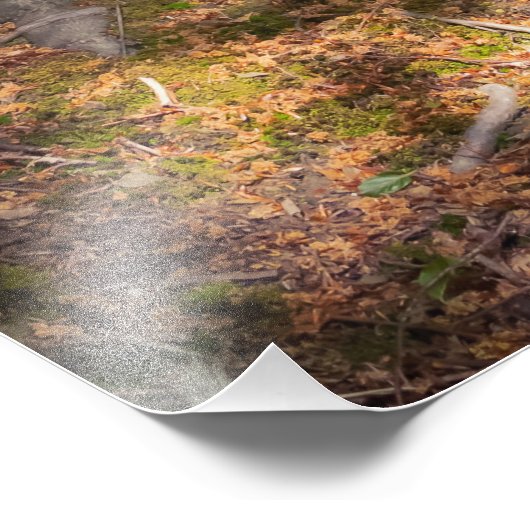 Waldimpression フォトプリント (角)