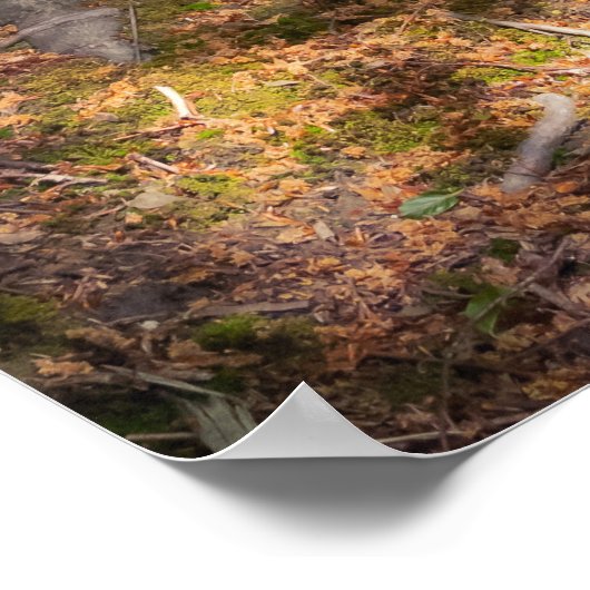 Waldimpression ポスター (角)