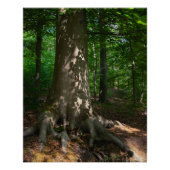 Waldimpression ポスター (正面)