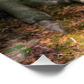 Waldimpression ポスター (コーナー)