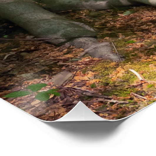 Waldimpression ポスター (コーナー)