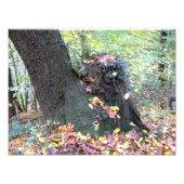 Waldmärchen フォトプリント (正面)