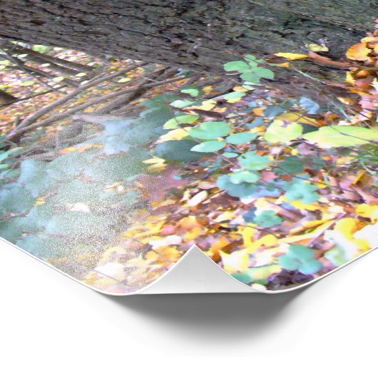 Waldmärchen フォトプリント (角)