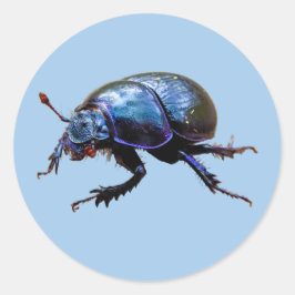 Waldmistkäfer Dor Beetle Blauer Dung Bug T-Shirt ラウンドシール