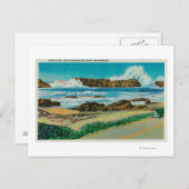 WaldportとNewportの間のシールロックで表示 ポストカード (正面/裏面)