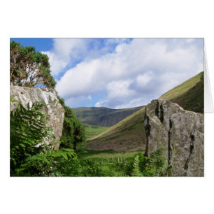 WALESカードのビュー