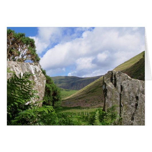 WALESカードのビュー (正面横)