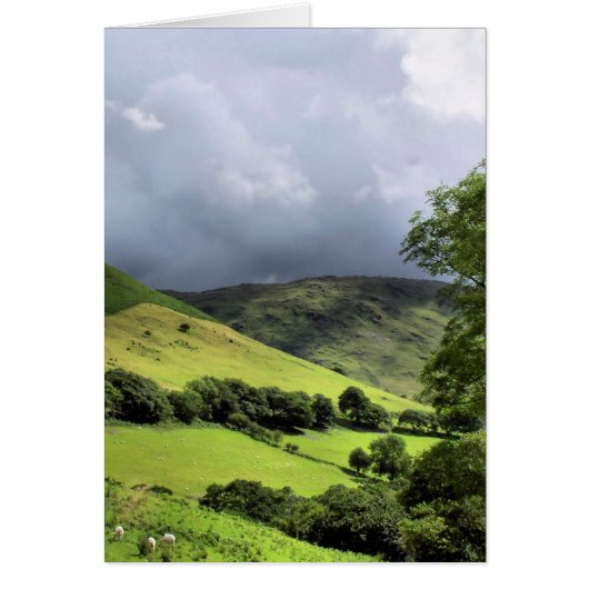 WALESカードのビュー (正面)