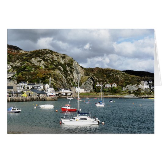 WALESカードのビュー (正面横)