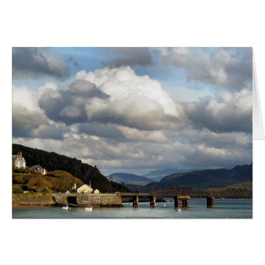 WALESカードのビュー (正面横)