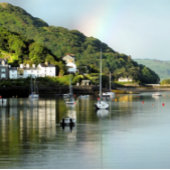 WALESカードのビュー