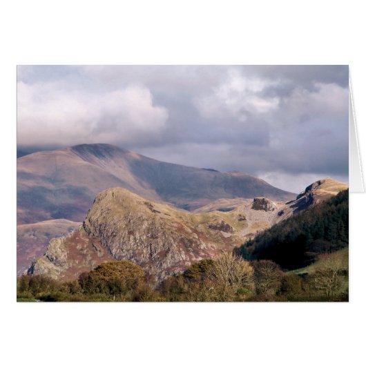 WALESカードのビュー (正面横)