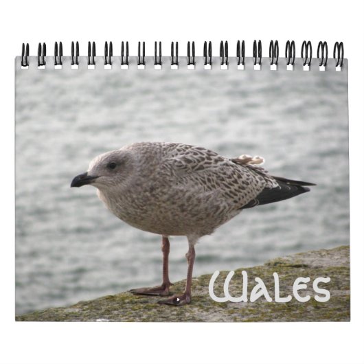 Wales 2022 Calendar カレンダー (カバー)
