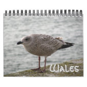 Wales 2022 Calendar カレンダー (カバー)