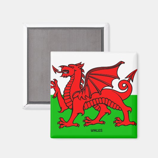 WALES FLAG /DRAGON マグネット (正面/裏面)