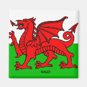 WALES FLAG /DRAGON マグネット (正面)
