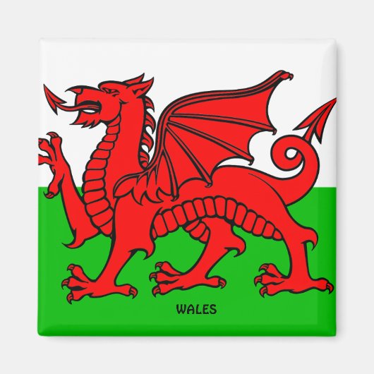 WALES FLAG /DRAGON マグネット (正面)
