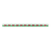 Wales flag Ribbon サテンリボン (正面)