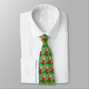 Wales Welsh Rugby Tie ネクタイ