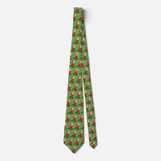 Wales Welsh Rugby Tie ネクタイ (正面)