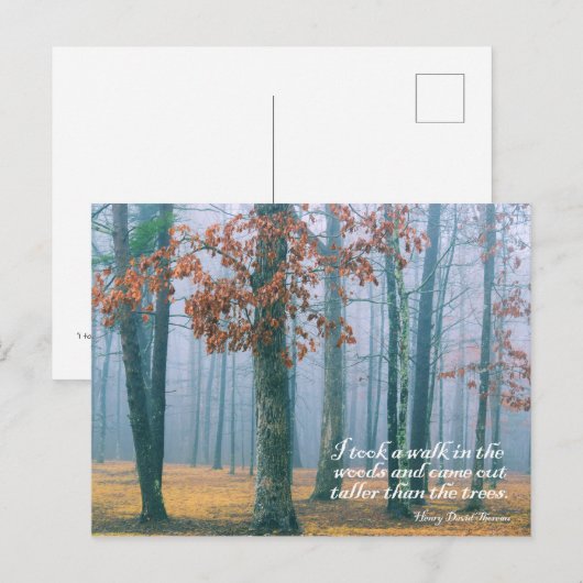 Walk in the Woods – ポストカード (正面/裏面)