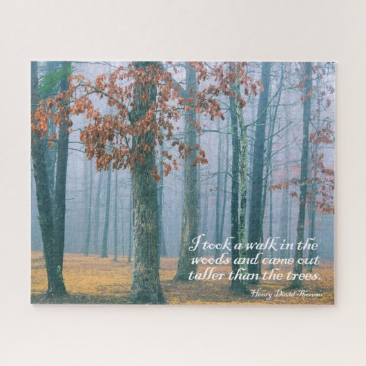 Walk in the Woods - 16x20 - 520個。 ジグソーパズル (横)