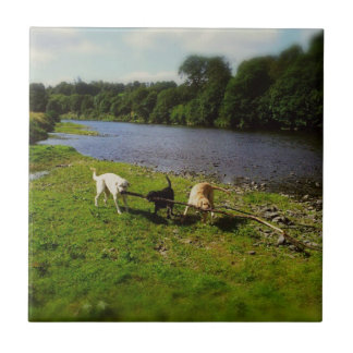 Walkies タイル