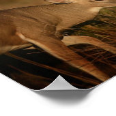 Walking Buck Poster ポスター (角)