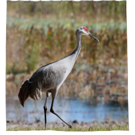 Walking Tall, Sandhill Crane シャワーカーテン