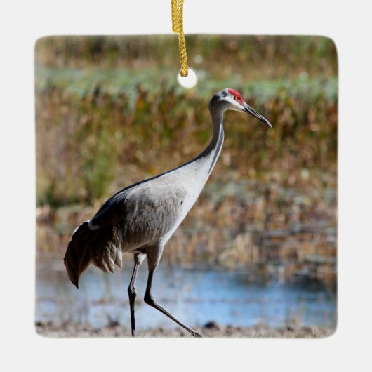 Walking Tall, Sandhill Crane セラミックオーナメント (正面)