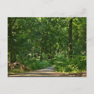 Walking through the trees ポストカード