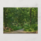 Walking through the trees ポストカード (正面)