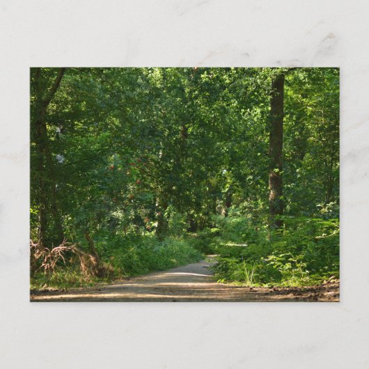 Walking through the trees ポストカード (正面)