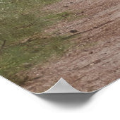 WALKING WITH BIGFOOT SASQUATCH - I KNOW ポスター (角)