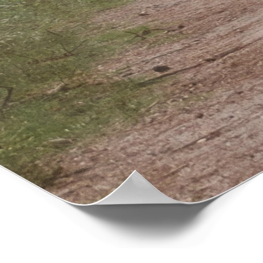 WALKING WITH BIGFOOT SASQUATCH - I KNOW ポスター (角)