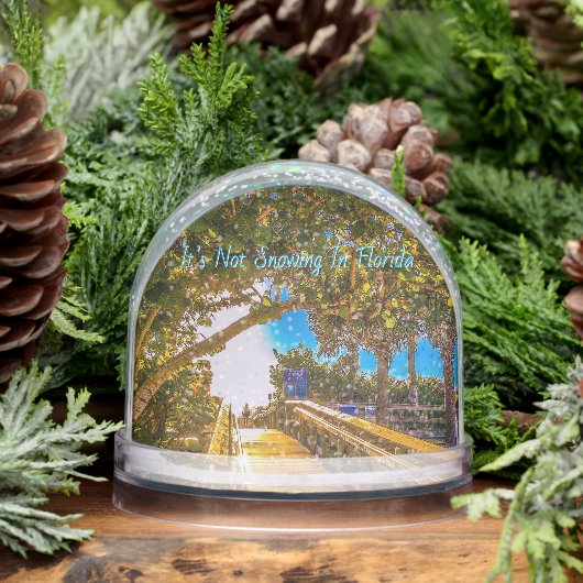 Walkway to the Beach Snow Globe (冬)