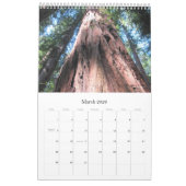 Wall Calendar 2026 Richardson Grove - Single Sheet カレンダー (3月 2026)