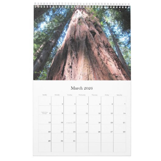 Wall Calendar 2026 Richardson Grove - Single Sheet カレンダー (3月 2026)