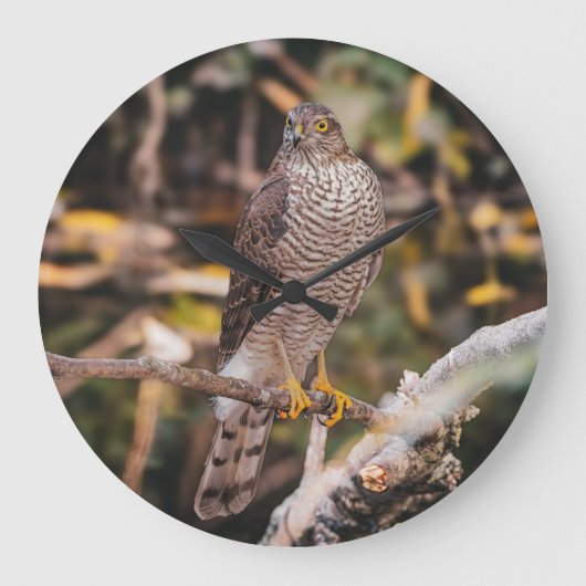 Wall Clock ラージ壁時計 (正面)